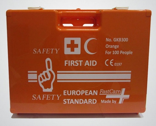 Industrial First Aid Kit (100 People)